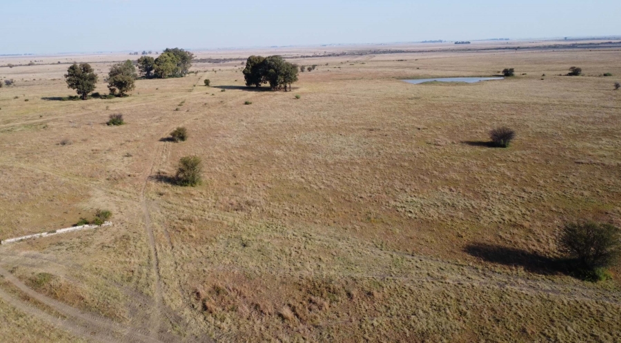 0 Bedroom Property for Sale in Koppies Rural Free State